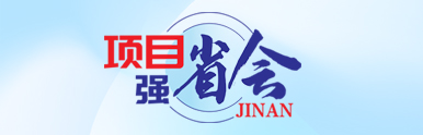 项目强省会